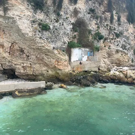 Agnes * Vlorë